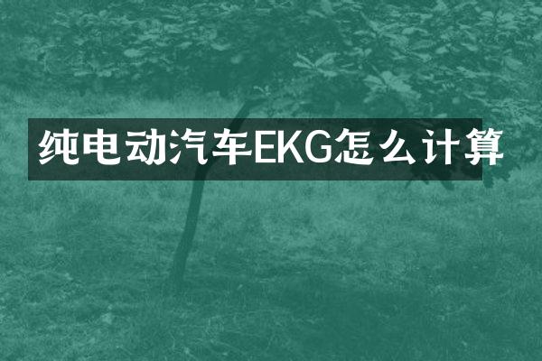 纯电动汽车EKG怎么计算
