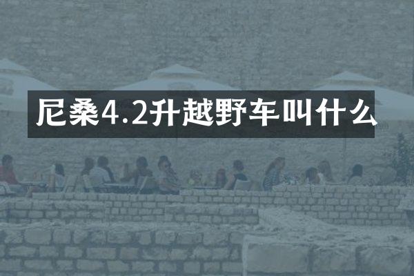 尼桑4.2升越野车叫什么
