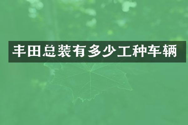 丰田总装有多少工种车辆