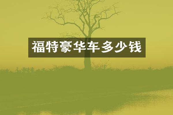 福特豪华车多少钱