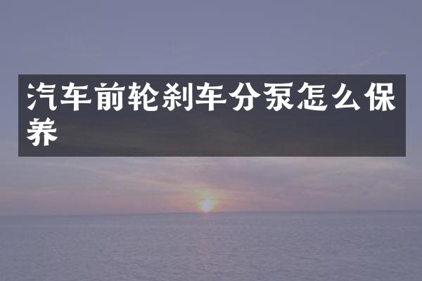 汽车前轮刹车分泵怎么保养