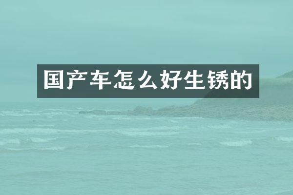 国产车怎么好生锈的