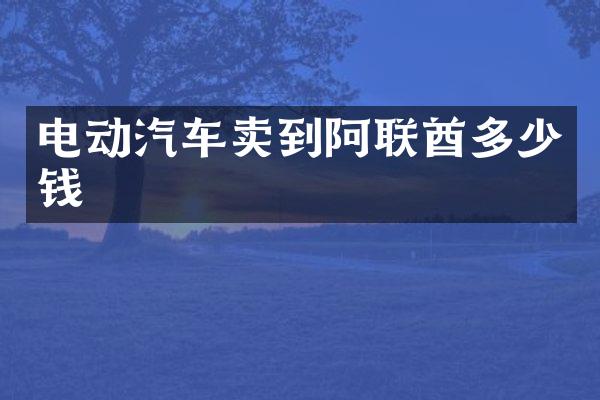 电动汽车卖到阿联酋多少钱