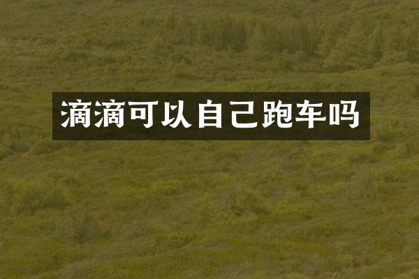 滴滴可以自己跑车吗