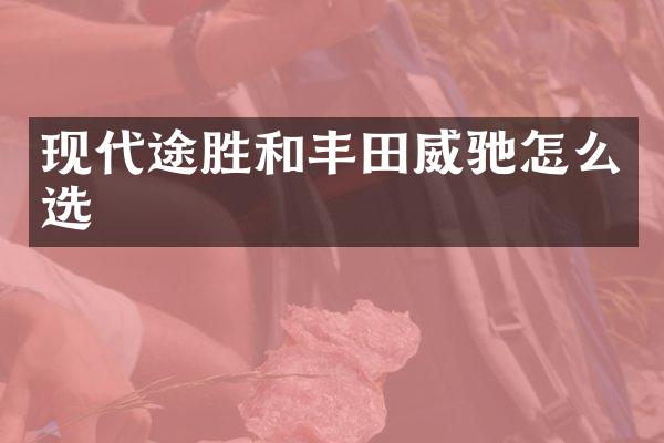 现代途胜和丰田威驰怎么选