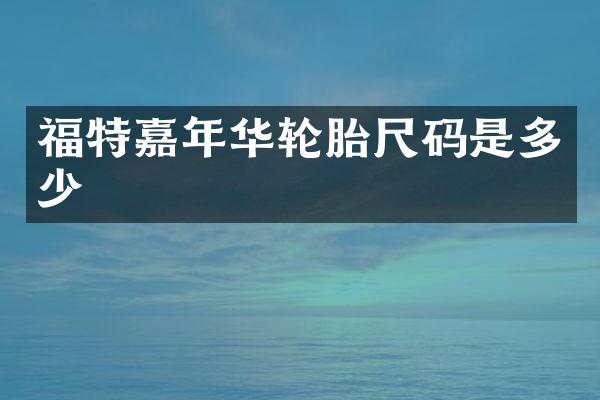 福特嘉年华轮胎尺码是多少