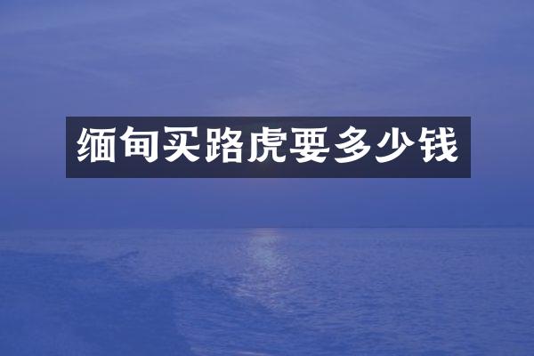 缅甸买路虎要多少钱