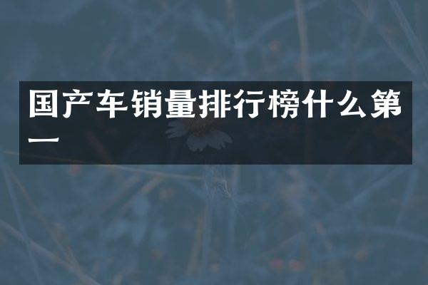 国产车销量排行榜什么第一