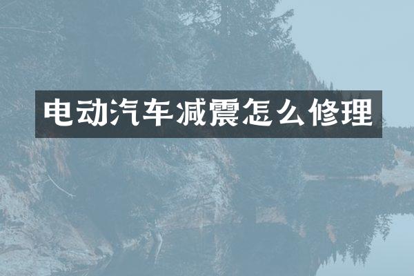 电动汽车减震怎么修理