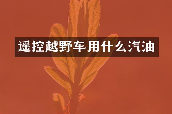 遥控越野车用什么汽油