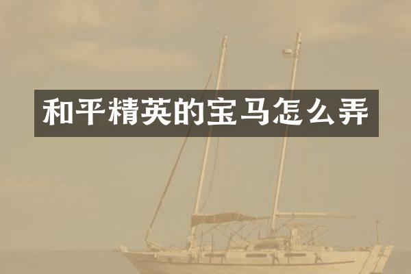 和平精英的宝马怎么弄