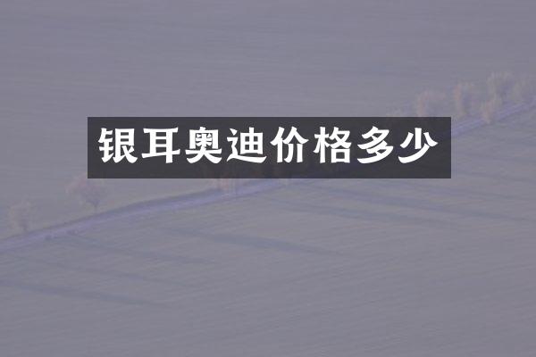 银耳奥迪价格多少