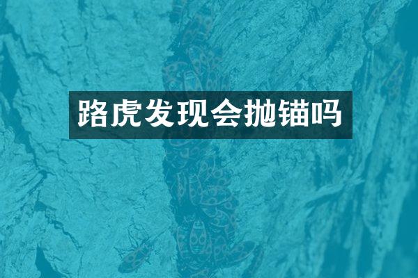 路虎发现会抛锚吗