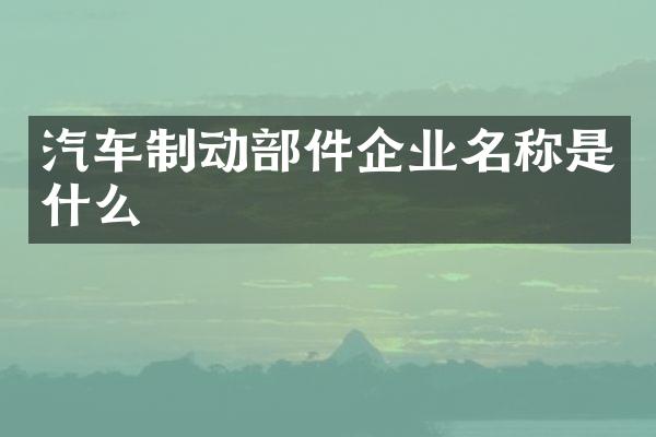 汽车制动部件企业名称是什么