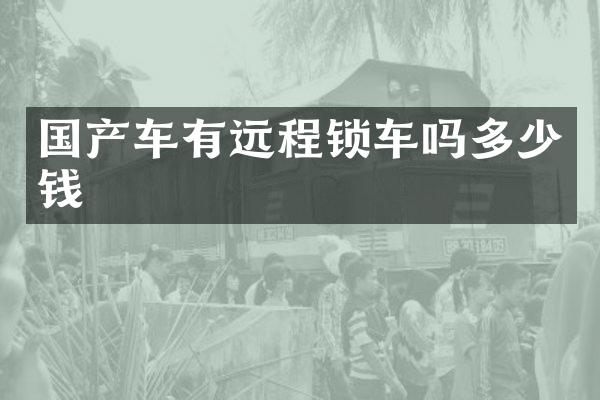 国产车有远程锁车吗多少钱