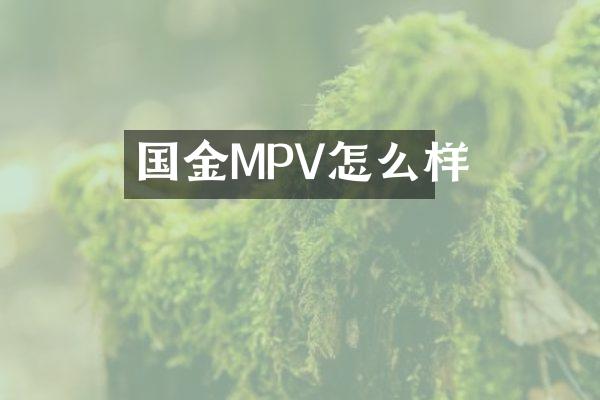 国金MPV怎么样