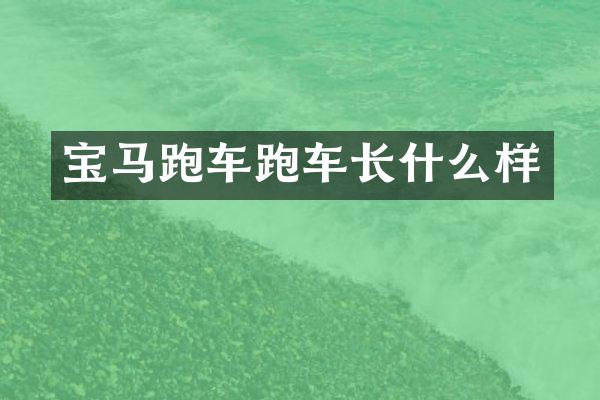 宝马跑车跑车长什么样