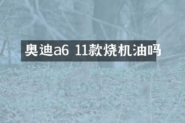 奥迪a6 11款烧机油吗