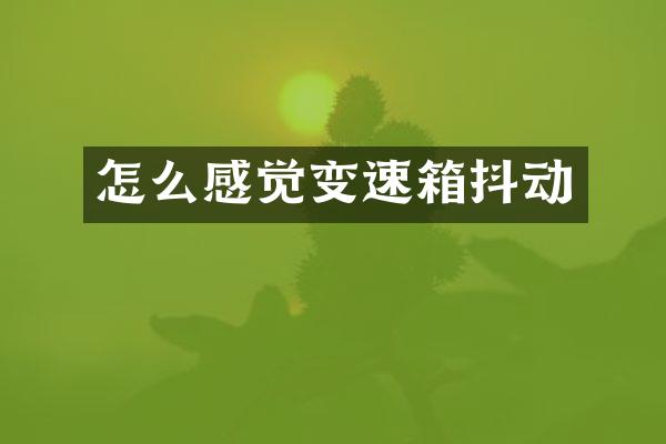 怎么感觉变速箱抖动