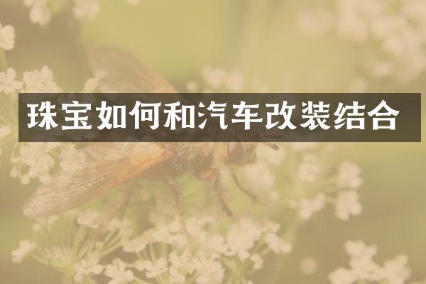 珠宝如何和汽车改装结合