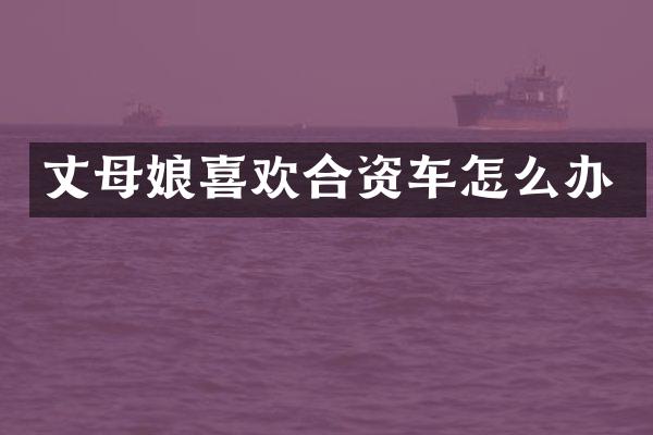 丈母娘喜欢合资车怎么办