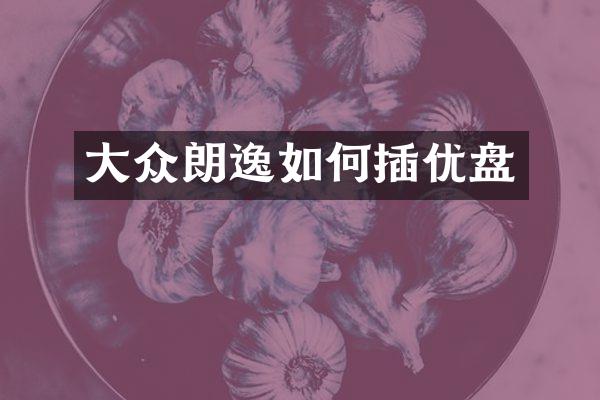 大众朗逸如何插优盘
