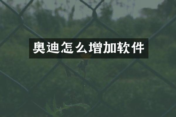 奥迪怎么增加软件
