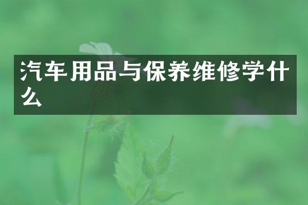 汽车用品与保养维修学什么