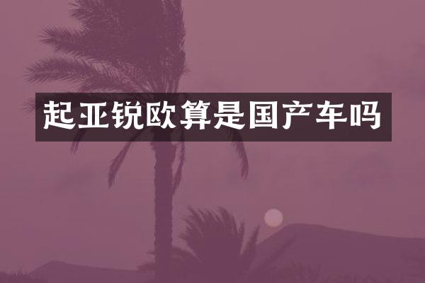 起亚锐欧算是国产车吗