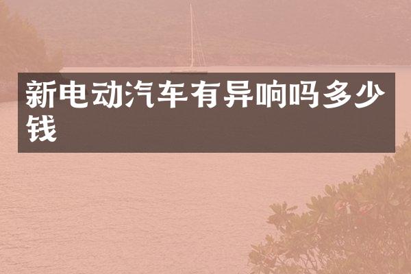 新电动汽车有异响吗多少钱