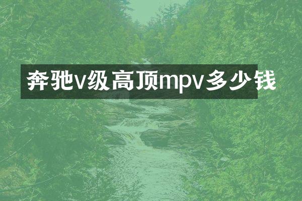 奔驰v级高顶mpv多少钱