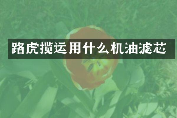 路虎揽运用什么机油滤芯