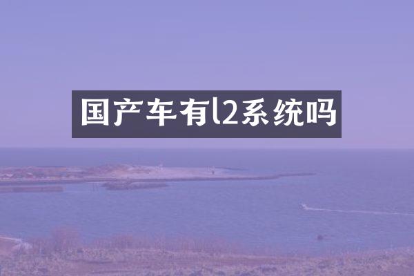 国产车有l2系统吗