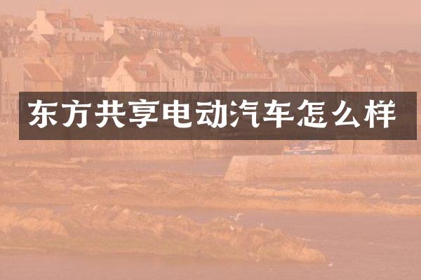 东方共享电动汽车怎么样