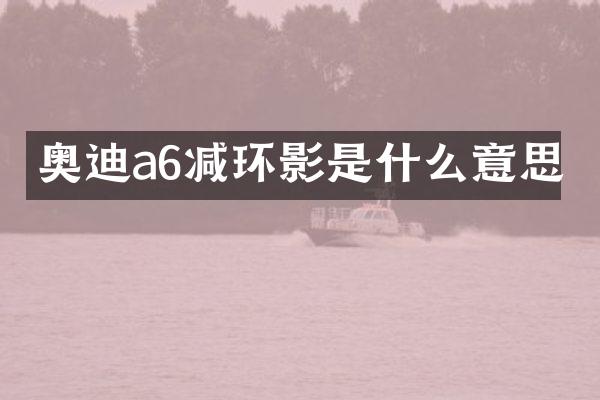 奥迪a6减环影是什么意思