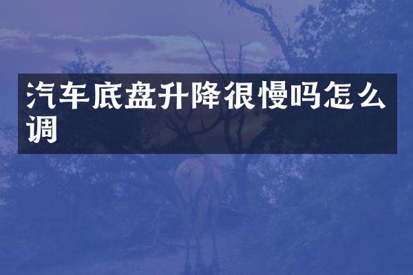 汽车底盘升降很慢吗怎么调