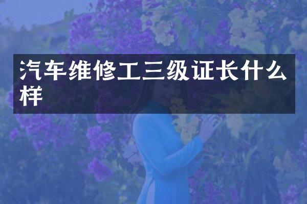 汽车维修工三级证长什么样