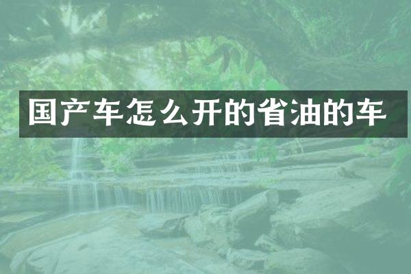 国产车怎么开的省油的车