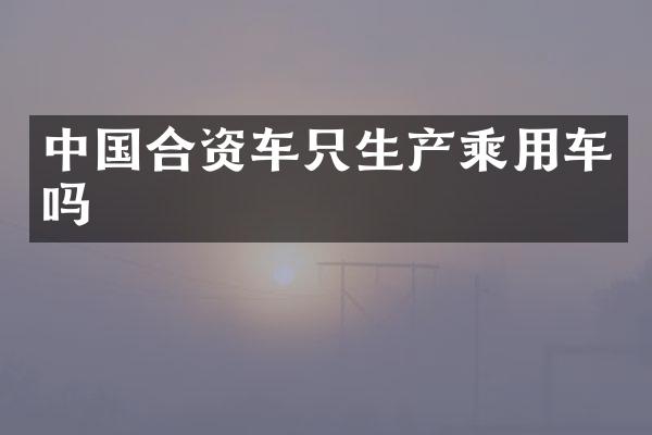中国合资车只生产乘用车吗