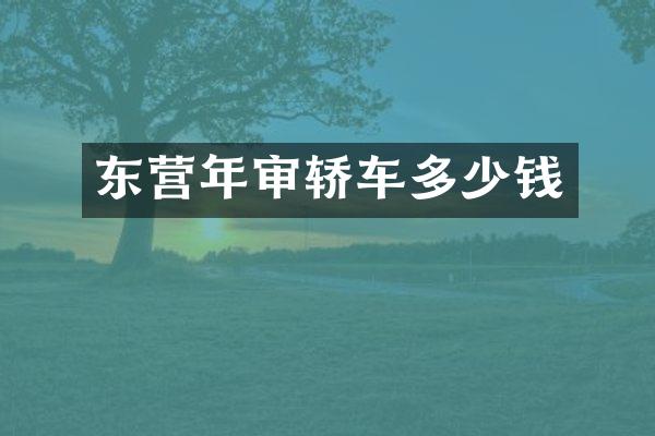 东营年审轿车多少钱