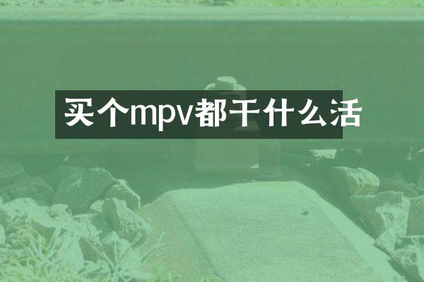 买个mpv都干什么活
