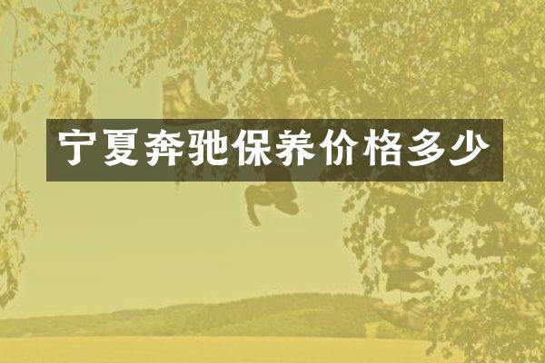 宁夏奔驰保养价格多少