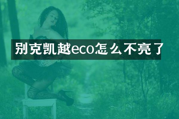 别克凯越eco怎么不亮了
