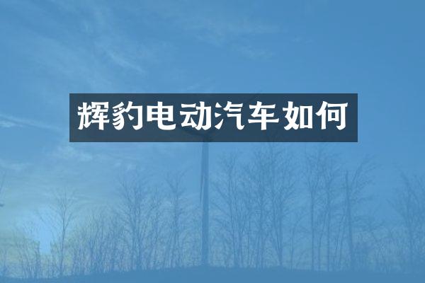 辉豹电动汽车如何