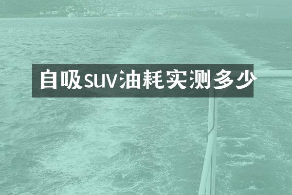 自吸suv油耗实测多少