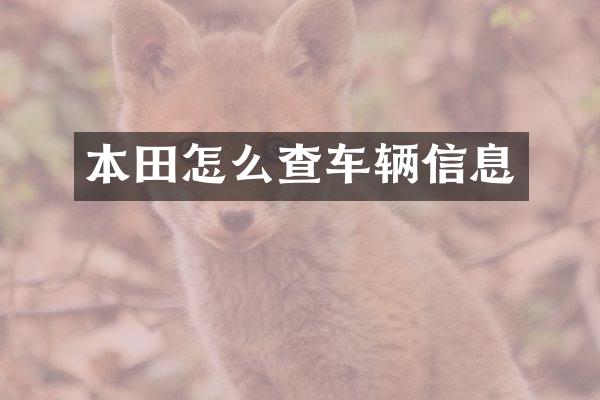 本田怎么查车辆信息