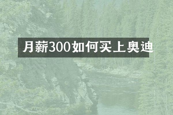 月薪300如何买上奥迪