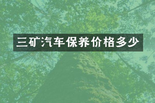 三矿汽车保养价格多少