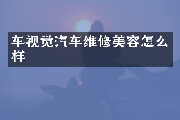 车视觉汽车维修美容怎么样