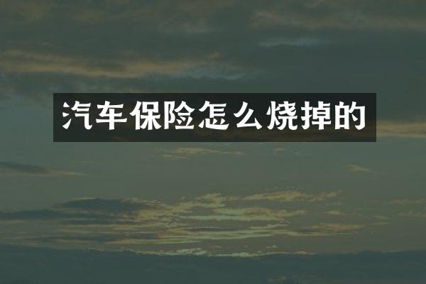 汽车保险怎么烧掉的